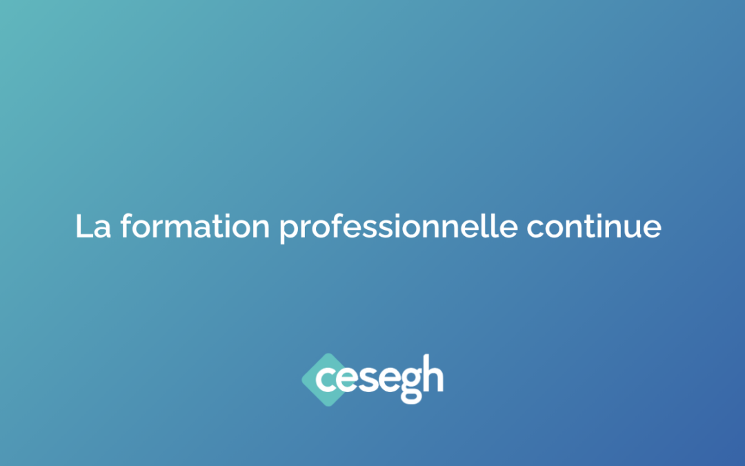Formation professionnelle continue Montpellier : définition, financement et formations | Cesegh